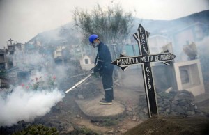 Las condiciones del ambiente cercano al hogar pueden ayudar a la propagación del virus Zika.