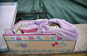 bebés duermen en cajas de cartón