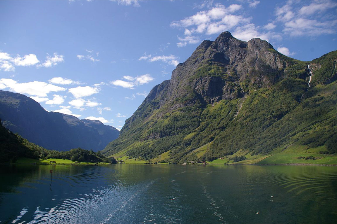 Noruega prohíbe la deforestación