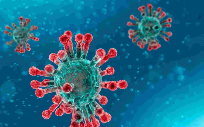 coronavirus