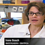 irene-bosch