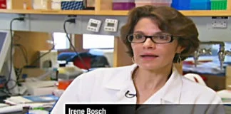 irene-bosch